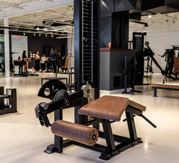 Various gym equipment